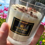 Vela Tennessee con Inclusion Aromanza
