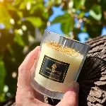 Vela Tennessee con Inclusion Aromanza