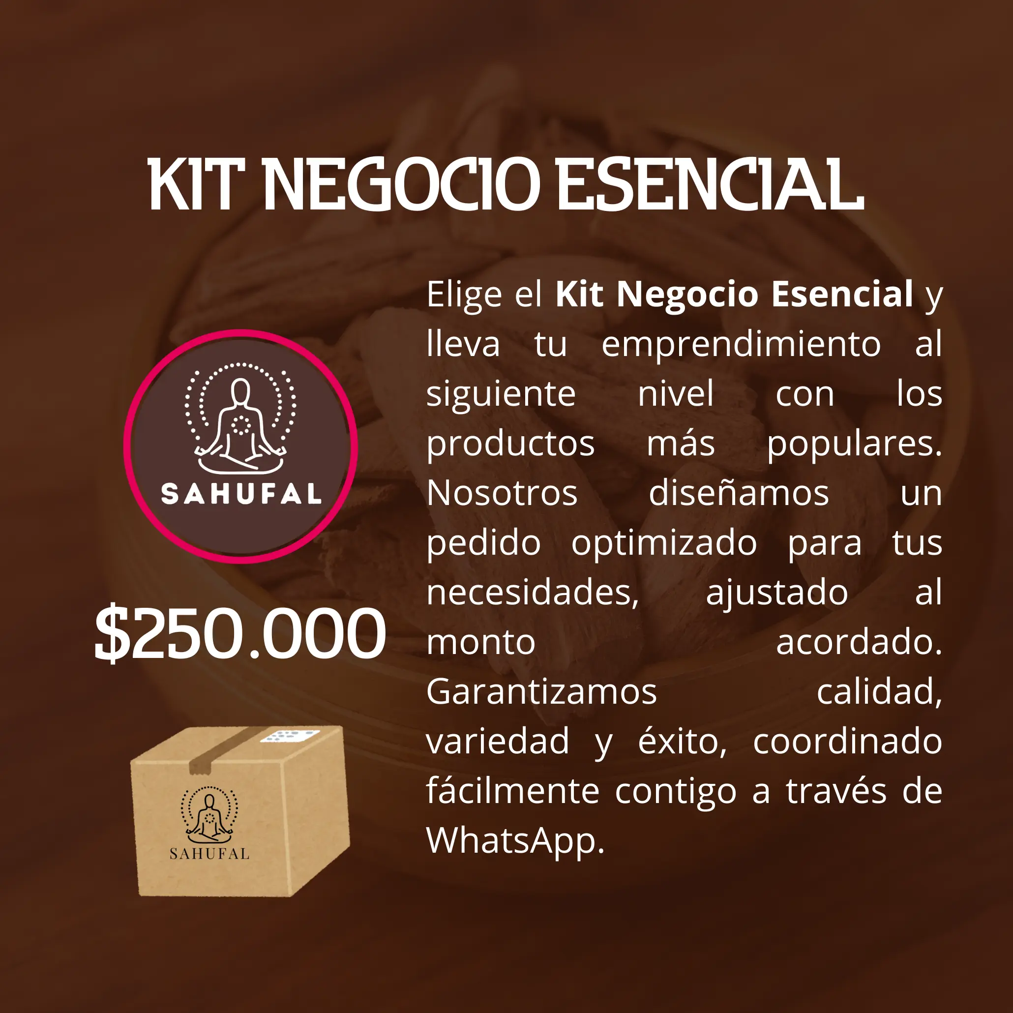 Kit Negocio Esencial